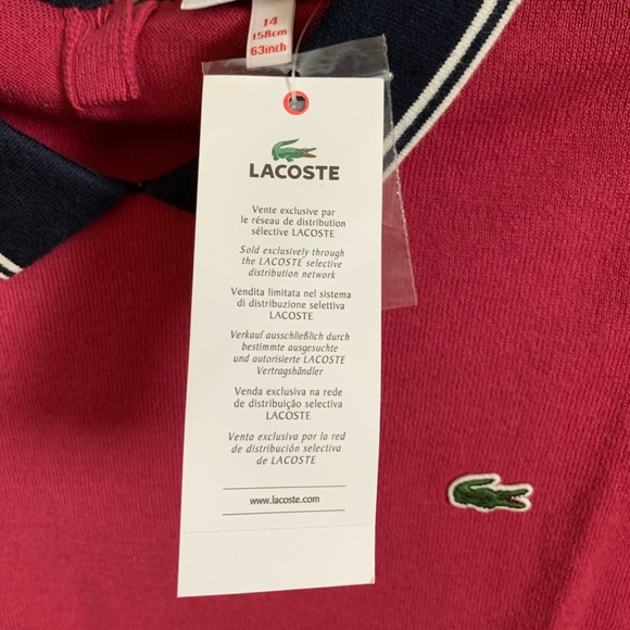 Pink/Navy Blue Lacoste Sweater - Picture 3 of 5